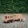 Fagus Pferdetransport SET